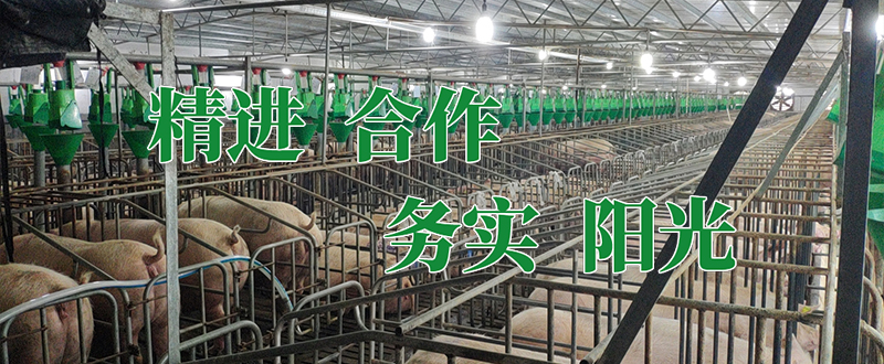 常加（上海）農業科技有限公司
